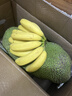 京鮮生海南菠蘿蜜整個(gè)16-19斤 凈重16斤生鮮水果 源頭直發(fā) 曬單實(shí)拍圖
