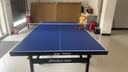 雙魚(yú)（DOUBLE FISH） 乒乓球桌室內可折疊移動(dòng)式乒乓球臺家用訓練比賽標準乒乓球案子 226B-藍面22MM 曬單實(shí)拍圖
