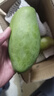 余悅海南金煌芒 【多地次日達】新鮮現摘水仙大芒果青皮甜心芒果整箱 帶箱5斤【精選好果丨單果300-350g】?jì)?.5斤 曬單實(shí)拍圖