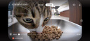 霍曼（Homerun）AI智能寵物自動(dòng)喂食器視頻貓喂食定時(shí)定量攝像頭可視VF20 可插卡 曬單實(shí)拍圖
