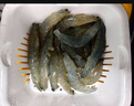 鮮活大海白蝦300g（約12-18只） 曬單實(shí)拍圖