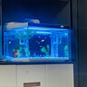 森森金麟超白智能魚(yú)缸小型桌面免換水生態(tài)魚(yú)缸一體缸自循環(huán) 【過(guò)濾升級+自動(dòng)喂食+除油膜】480 純白尊享版 曬單實(shí)拍圖