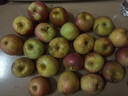 正宗山東紅富士蘋(píng)果丑蘋(píng)果新鮮水果當季脆甜冰糖心蘋(píng)果嘎啦果 帶箱2斤凈重1.6斤55mm+ 曬單實(shí)拍圖