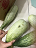 京鮮生山東頭茬羊角蜜甜瓜 單果300g起 凈重3斤 水果源頭直發(fā)包郵 曬單實(shí)拍圖