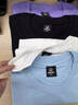 北羅紫色純棉T恤定制工作服logo公司企業(yè)團建活動(dòng)文化衫圓領(lǐng)短袖工裝 A款【200克純棉/新疆長(cháng)絨棉】淺紫色 S 曬單實(shí)拍圖