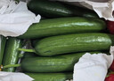京地達山東水果黃瓜圣女果組合 凈重5斤 單果6g+蔬菜源頭直發(fā)包郵 曬單實(shí)拍圖