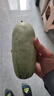 京鮮生山東羊角蜜甜瓜 凈重3斤 單果250g+ 水果源頭直發(fā)包郵 曬單實(shí)拍圖