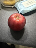 2025年現摘現發(fā)甘肅天水花牛蘋(píng)果新鮮紅蛇果粉面生鮮脆甜多汁A14 帶箱4斤  果徑75mm以上 曬單實(shí)拍圖