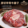 沃典阿根廷原切帶骨牛腱子凈重4斤 牛肉生鮮帶牛骨髓燉煮食材源頭直發(fā) 曬單實(shí)拍圖