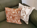 巧品真皮沙發(fā)上的抱枕客廳沙發(fā)輕奢高級感靠墊套簡(jiǎn)約橘色靠背墊法式復 橘色剪白色花紋45x45cm 枕套 +枕芯 曬單實(shí)拍圖