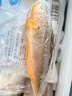 冰鮮 黃花魚(yú)200-300g/條 曬單實(shí)拍圖