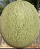 京鮮生 海南哈密瓜西州蜜 凈重5-6斤 2粒裝 源頭直發(fā)包郵 曬單實(shí)拍圖