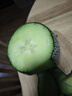 京鮮生海南網(wǎng)紋瓜 凈重4-5斤 2粒網(wǎng)紋蜜瓜 生鮮水果 源頭直發(fā)包郵 曬單實(shí)拍圖