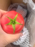 新鮮沙瓤大番茄生吃西紅柿減肥早餐即食新鮮蔬菜生鮮單果＞100g 暢享裝 3斤 凈重 曬單實(shí)拍圖