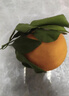 京鮮生 四川春見(jiàn)耙耙柑 凈重10斤 單果180g起 生鮮水果桔子柑橘禮盒 曬單實(shí)拍圖