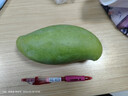 庾豐 越南應季新鮮芒果 整箱當季現摘孕婦熱帶水果大青 皮玉芒 5斤裝【單果約200g+】?jì)艄?.5斤 曬單實(shí)拍圖