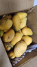 海南小臺農新鮮芒果當季水果臺農芒果奶芒果整箱批發(fā) 小臺芒凈重8.5-9斤單果100g+ 曬單實(shí)拍圖
