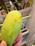 南步廣西酸芒果 酸脆青芒生芒果腌制象牙芒生吃酸嘢蘸醬新鮮孕婦水果 酸芒果 1斤【約2-4個(gè)】 曬單實(shí)拍圖