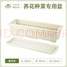 史丹利陽(yáng)臺種菜盆專(zhuān)用家用花盆長(cháng)方形塑料蔬果盆栽象牙白【長(cháng)400mm】 曬單實(shí)拍圖