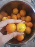 廣西脆皮小金桔應當季新鮮孕婦水果現摘脆蜜冰糖金桔橘子整箱 3斤 大果【35-40個(gè)/斤】 曬單實(shí)拍圖