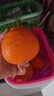京地達四川春見(jiàn)耙耙柑凈重8斤特大果15-18粒柑橘桔子水果源頭直發(fā) 曬單實(shí)拍圖