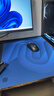 卓威奇亞（ZOWIE GEAR）G-SR-SE瀾II 電競鼠標墊 細面鼠標墊 游戲鼠標墊 控制墊 滑墊 電競桌墊  曬單實(shí)拍圖