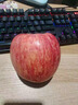 鮮聞果正宗陜西洛川蘋(píng)果紅富士新鮮當季孕婦水果時(shí)令gala果富士蘋(píng)果9斤A 大果【精選果】 5斤裝【現摘現發(fā)】 曬單實(shí)拍圖