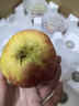京覓四川大涼山丑蘋(píng)果 凈8斤 單果80mm+ 新鮮水果冰糖心蘋(píng)果 源頭直發(fā) 曬單實(shí)拍圖