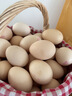 京覓新鮮無(wú)抗鵪鶉蛋 生鮮蛋 健康好蛋 63枚/盒 源頭直發(fā) 曬單實(shí)拍圖