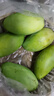 新鮮玉芒水果生鮮新鮮熱帶時(shí)令水果青皮大芒果當季采摘整箱包郵 軟糯鮮甜玉芒（單果200g+） 帶箱6斤（凈重5.5斤）單果200g起 曬單實(shí)拍圖