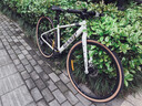 坎普（CAMP）GX300 公路車(chē)鋁合金車(chē)架9速油碟禧瑪諾變速自行車(chē) 珍珠白9速 405 曬單實(shí)拍圖