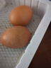 山林新鮮雞蛋鮮雞蛋當日現撿生鮮買(mǎi)菜單枚40g左右 當日現撿土雞蛋50枚 曬單實(shí)拍圖