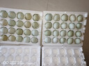 峪農山綠殼烏雞蛋農家散養綠殼蛋蟲(chóng)草蛋小時(shí)候的味道兒童孕婦可食 40枚綠殼雞蛋 曬單實(shí)拍圖