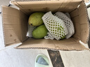 余悅海南金煌芒 【多地次日達】新鮮現摘水仙大芒果青皮甜心芒果整箱 帶箱5斤【精選好果丨單果300-350g】?jì)?.5斤 曬單實(shí)拍圖