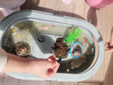 Barbarous Growth小烏龜生態(tài)缸養龜專(zhuān)用箱曬臺造景曬臺家用大型飼養箱免換水龜 瀝水龜盆大號綠+飼養禮包 曬單實(shí)拍圖