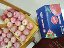佳農 煙臺紅富士蘋(píng)果 凈重10斤 特級果 單果240g+ 生鮮禮盒 曬單實(shí)拍圖