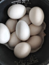耕果妙新鮮大鵝蛋12枚3.12斤農家散養新鮮鵝蛋130-160g/枚 源頭直發(fā)包郵 曬單實(shí)拍圖
