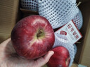 甘肅天水花牛蘋(píng)果2025當季新鮮水果小孩老人粉面紅蛇果（需放粉） 凈重8.5斤【單果200g】 曬單實(shí)拍圖