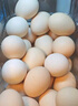 京鮮生富硒鮮雞蛋30枚 3斤 源頭直發(fā) 曬單實(shí)拍圖