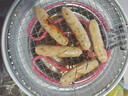 尚烤佳（Suncojia）燒烤爐燒烤架電炭?jì)捎脟鸂t煮茶爐烤羊肉串爐木碳煎烤爐304烤網(wǎng) 曬單實(shí)拍圖