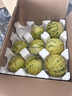 趣嘗鮮 山東花蕾香瓜 凈重4.5斤 單果250g起 甜瓜 源頭直發(fā) 一件包郵 曬單實(shí)拍圖