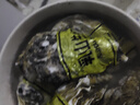 鮮活乳山生蠔新鮮牡蠣海蠣子5斤箱 5X特大蠔（15-21只每箱）凈重10斤生蠔 曬單實(shí)拍圖