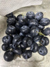 京鮮生 云南高原陽(yáng)光藍莓 12盒大果18mm+   125g/盒 生鮮水果 源頭直發(fā) 曬單實(shí)拍圖