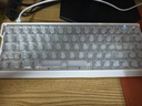 邁從（MCHOSE）Ace 68 V2磁軸鍵盤(pán)Gus同款RT電競游戲客制化60pro機械有線(xiàn)連接68鍵配列全鍵熱插拔雙驅動(dòng)無(wú)畏契約 Ace 68 V2 超競版 霧透白 寶馬磁軸 曬單實(shí)拍圖