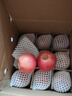 洛川蘋(píng)果洛川紅富士蘋(píng)果 陜西延安洛川蘋(píng)果 時(shí)令生鮮水果產(chǎn)地直發(fā) 帶箱10斤（凈重8.5斤）單果250g+ 曬單實(shí)拍圖