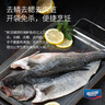 海名威冷凍三去鮮蒸海鱸魚(yú)450g/條(配料包) 生鮮魚(yú)類(lèi) 海鮮水產(chǎn) 曬單實(shí)拍圖