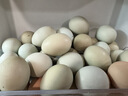 徐奮斗烏雞綠殼蛋 林間放養土雞蛋純糧喂養鮮雞蛋營(yíng)養有機寶寶蛋 贈禮盒 60枚裝 曬單實(shí)拍圖
