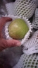京鮮生新疆庫爾勒香梨 凈重4.5斤單果120g+ 新鮮水果 源頭直發(fā)包郵 曬單實(shí)拍圖