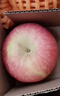 京鮮生陜西洛川紅富士?jì)糁?斤75-80mm單果170g+新鮮水果源頭直發(fā) 曬單實(shí)拍圖