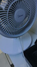 美的（Midea）【暴風(fēng)循環(huán)】空氣循環(huán)扇大風(fēng)量搖頭電風(fēng)扇家用臺式落地扇輕音臥室節能小風(fēng)扇柔風(fēng)輕羽扇 FGA24TQ 曬單實(shí)拍圖